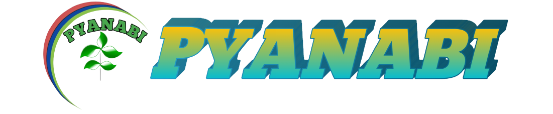 pyanabi logo